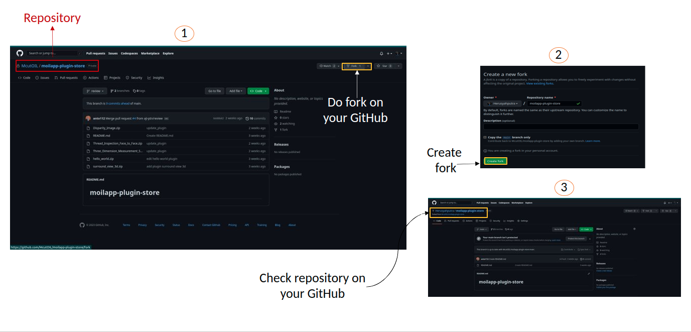 Forking the Repository