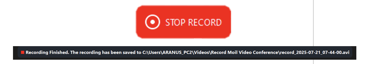 stop_record